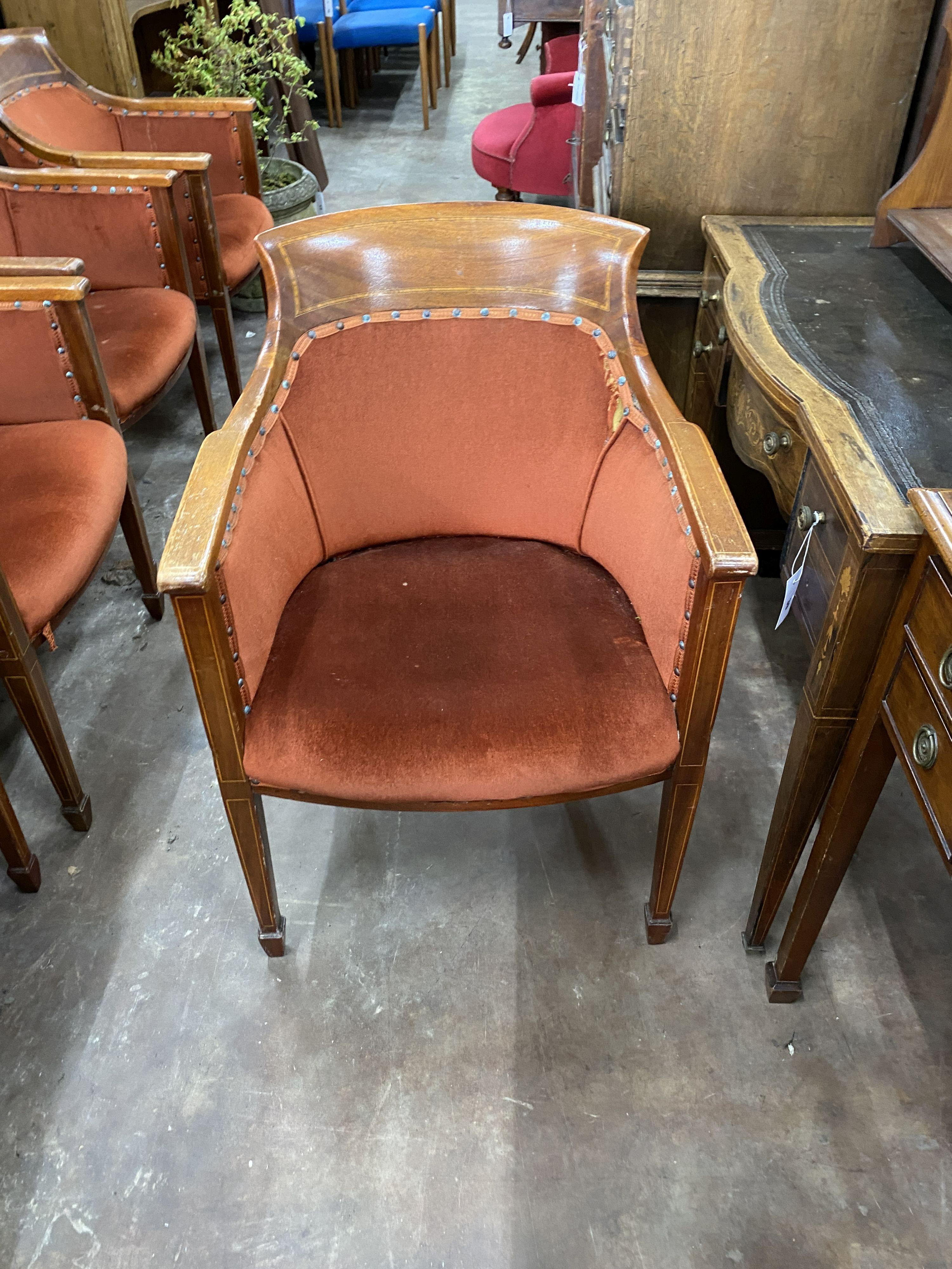 Five Regency style gentlemen's club chairs, width 57cm, depth 52cm, height 83cm